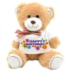 Teddy Bear with Personalized T-shirt.