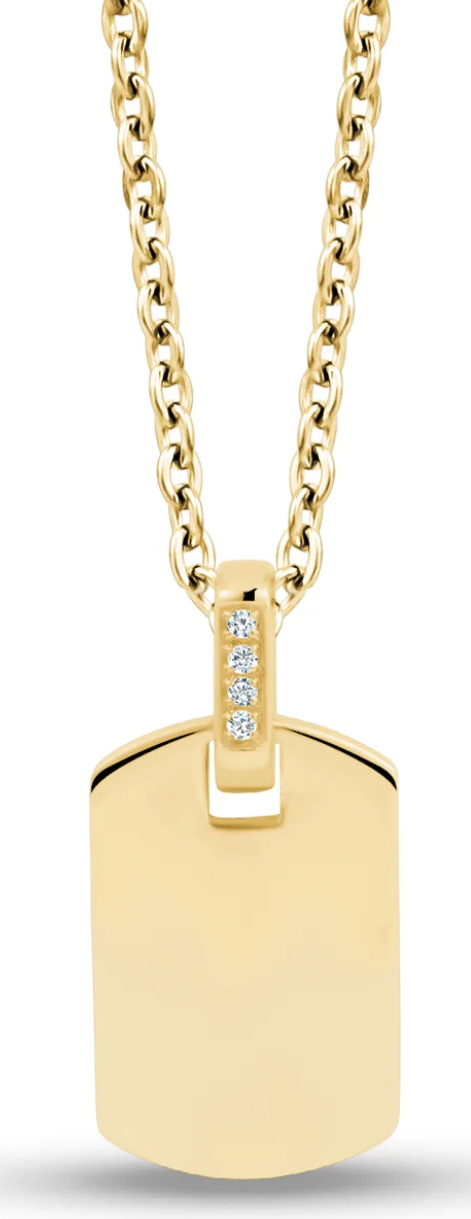 ARZ Necklace - Dog Tag with CZ Bail - Gold