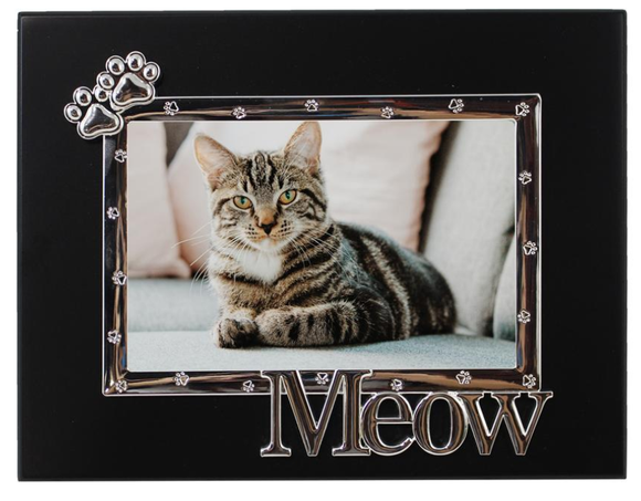 Frame - 4x6 Cat Meow