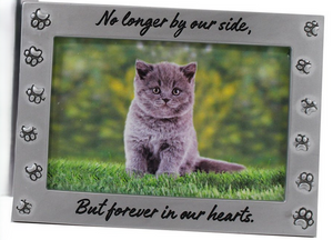 Frame - Pawprints, No Longer By Our Side.