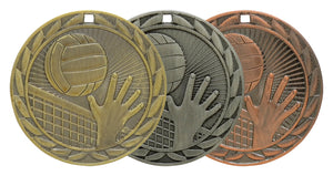 Volleyball Iron Medal 2"