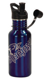 Water Bottle 17oz Stainless Steel.